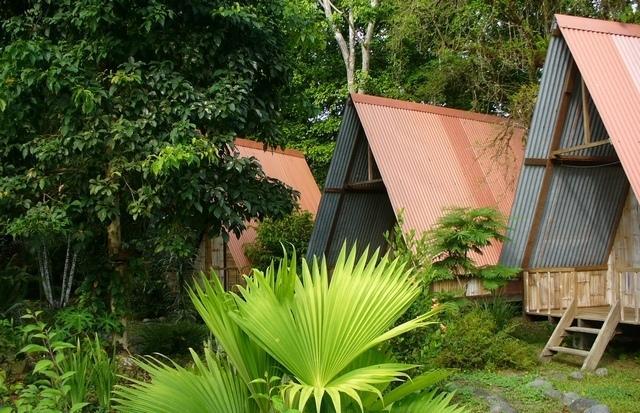 Los Mineros Guesthouse Dos Brazos Quarto foto